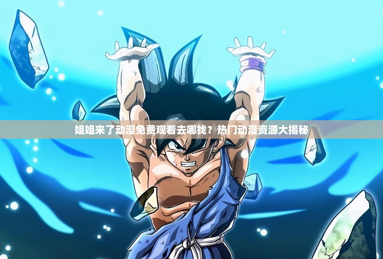 姐姐来了动漫免费观看去哪找？热门动漫资源大揭秘
