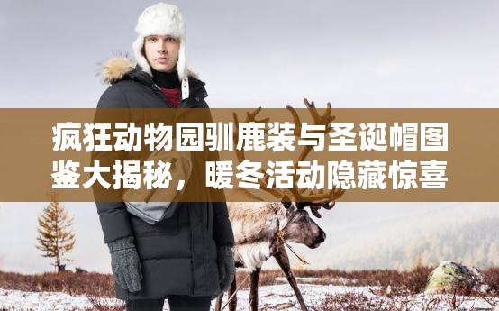 疯狂动物园驯鹿装与圣诞帽图鉴大揭秘，暖冬活动隐藏惊喜何在？
