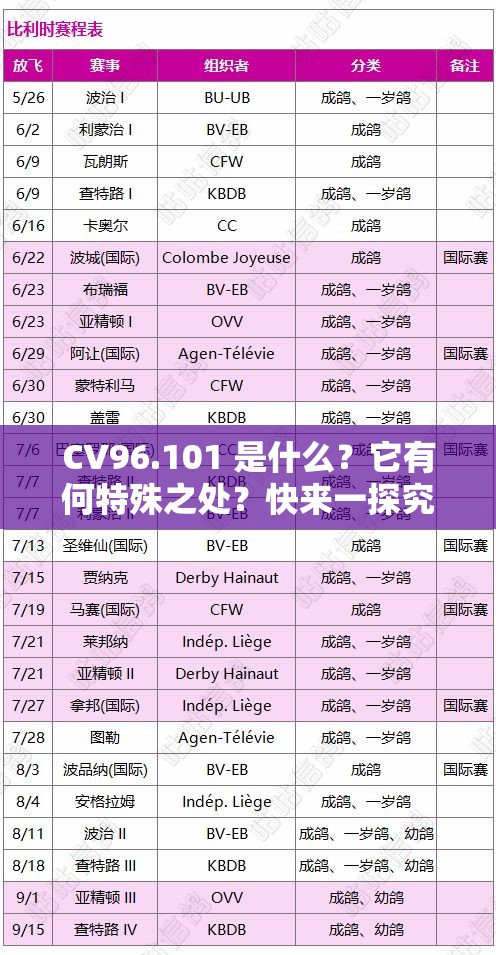 CV96.101 是什么？它有何特殊之处？快来一探究竟