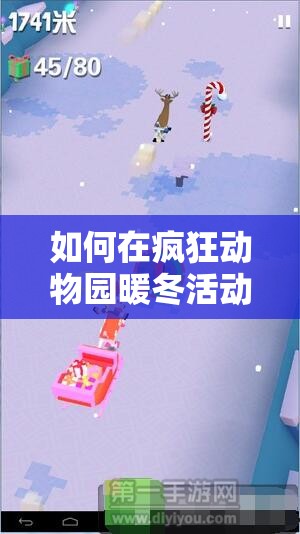 如何在疯狂动物园暖冬活动中参与并成功获取圣诞帽子礼物盒？