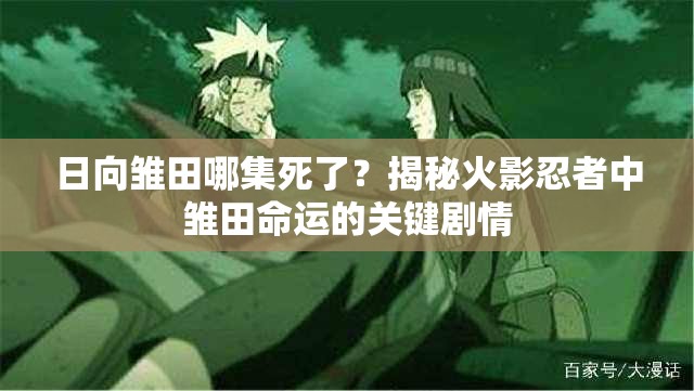 日向雏田哪集死了？揭秘火影忍者中雏田命运的关键剧情