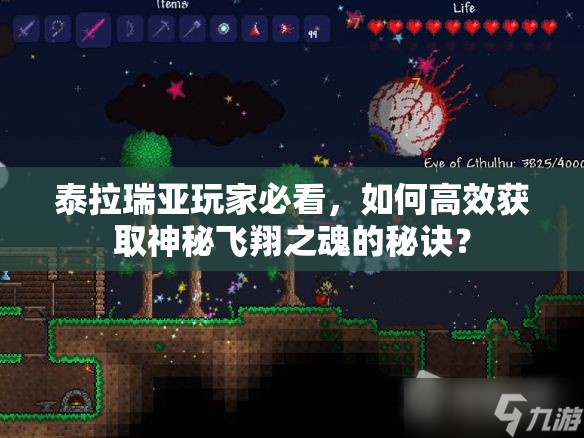 泰拉瑞亚玩家必看，如何高效获取神秘飞翔之魂的秘诀？