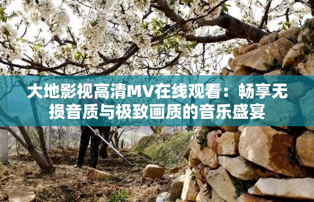大地影视高清MV在线观看：畅享无损音质与极致画质的音乐盛宴