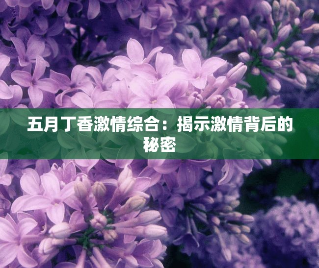 五月丁香激情综合：揭示激情背后的秘密