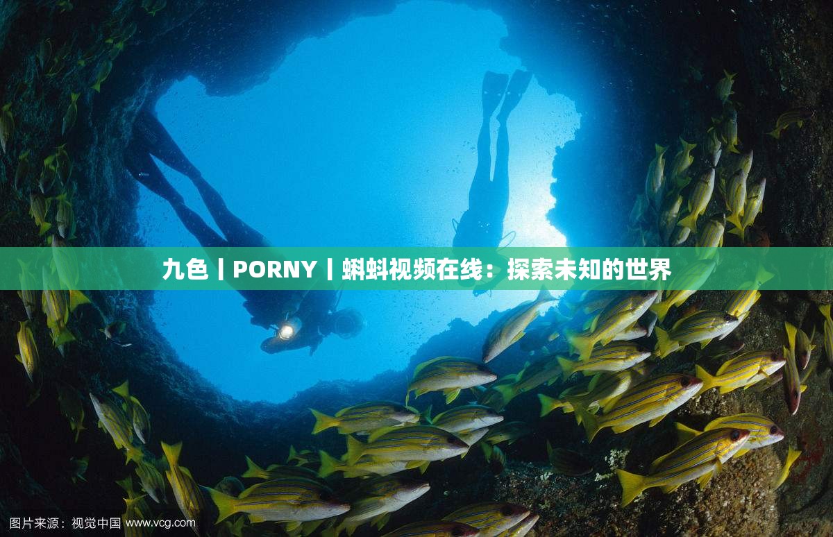 九色丨PORNY丨蝌蚪视频在线：探索未知的世界