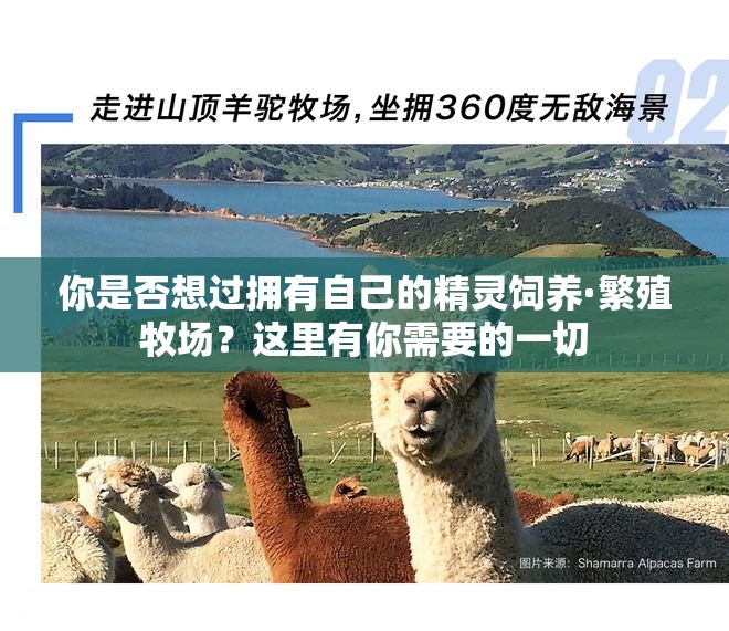 你是否想过拥有自己的精灵饲养·繁殖牧场？这里有你需要的一切
