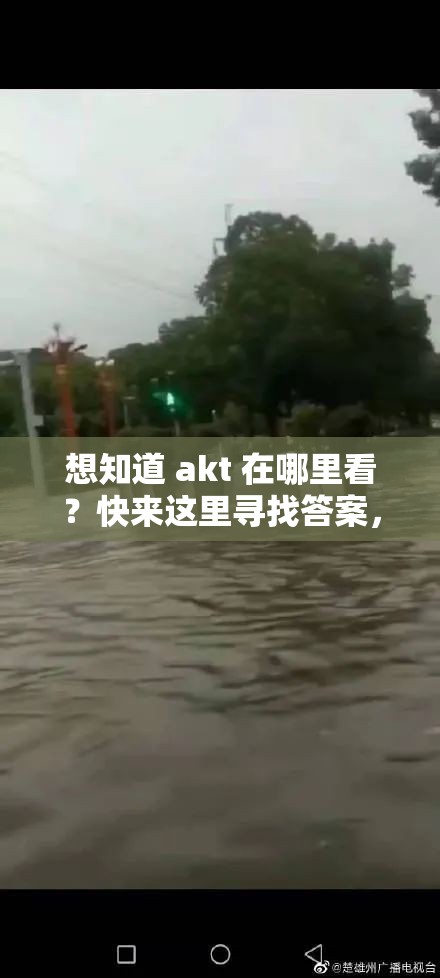 想知道 akt 在哪里看？快来这里寻找答案，全网最全 akt 观看渠道汇总