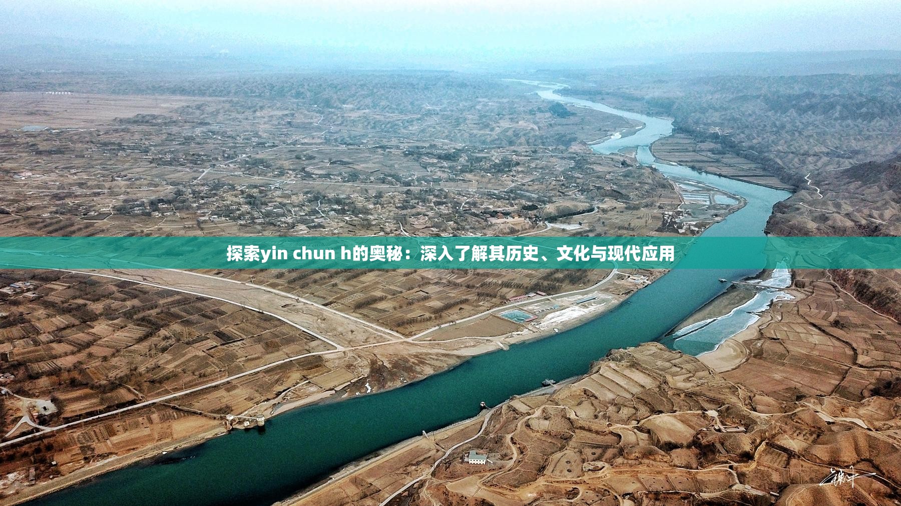 探索yin chun h的奥秘：深入了解其历史、文化与现代应用