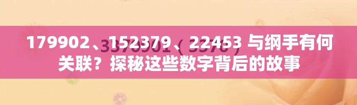 179902、152379、22453 与纲手有何关联？探秘这些数字背后的故事