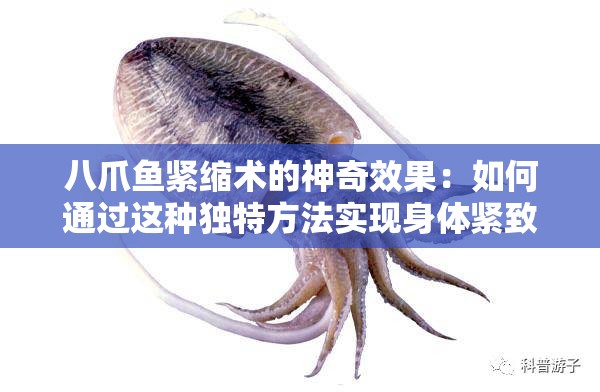 八爪鱼紧缩术的神奇效果：如何通过这种独特方法实现身体紧致与健康提升？