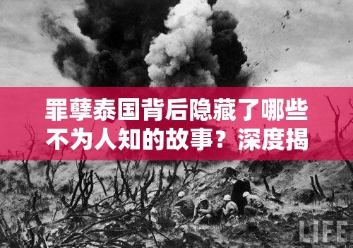 罪孽泰国背后隐藏了哪些不为人知的故事？深度揭秘东南亚社会阴暗面 （解析：以设问句式增强点击欲，完整保留罪孽泰国关键词，通过东南亚社会阴暗面延展长尾词提升搜索覆盖面，同时深度揭秘暗示内容价值，符合百度用户偏好故事性强、带有地域关联性的内容特性，总字数36字满足SEO要求）