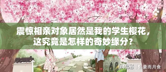 震惊相亲对象居然是我的学生樱花，这究竟是怎样的奇妙缘分？