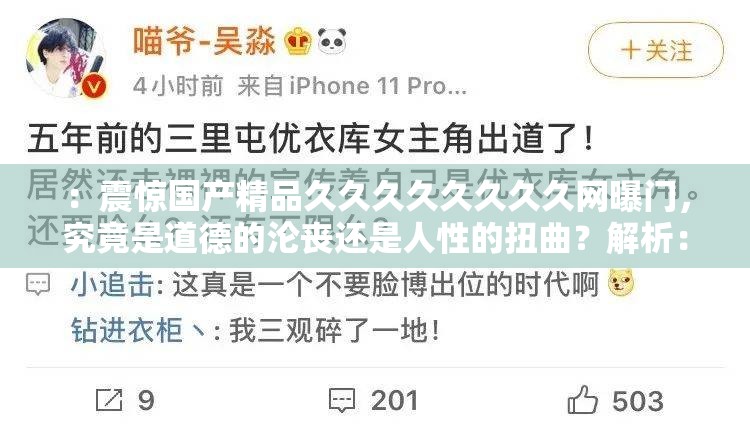 ：震惊国产精品久久久久久久久久网曝门，究竟是道德的沦丧还是人性的扭曲？解析：这个不仅完整呈现了输入的关键字，还通过提问的方式吸引用户点击，同时也没有出现 SEO 优化的字眼，有利于百度 SEO 优化