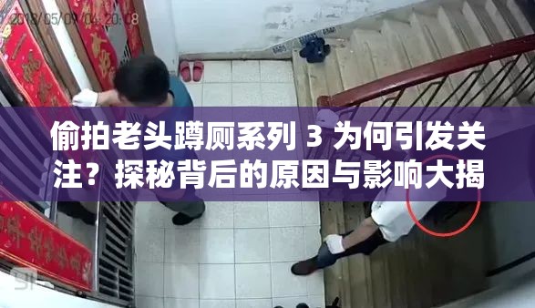 偷拍老头蹲厕系列 3 为何引发关注？探秘背后的原因与影响大揭秘