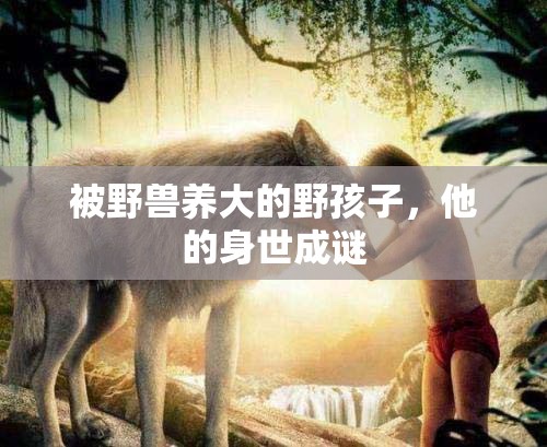 被野兽养大的野孩子，他的身世成谜