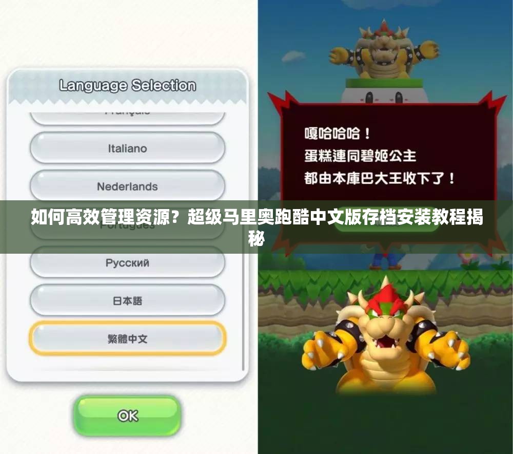 如何高效管理资源？超级马里奥跑酷中文版存档安装教程揭秘