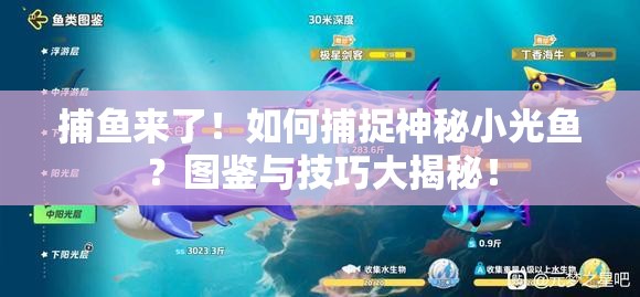 捕鱼来了！如何捕捉神秘小光鱼？图鉴与技巧大揭秘！