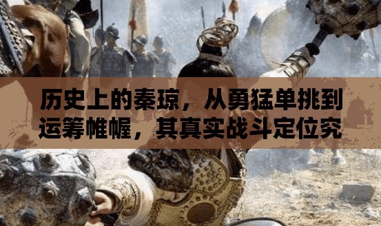 历史上的秦琼，从勇猛单挑到运筹帷幄，其真实战斗定位究竟如何？