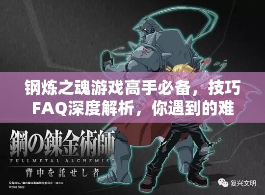 钢炼之魂游戏高手必备，技巧FAQ深度解析，你遇到的难题有解吗？