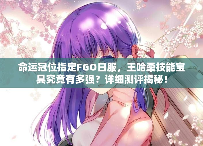 命运冠位指定FGO日服，王哈桑技能宝具究竟有多强？详细测评揭秘！