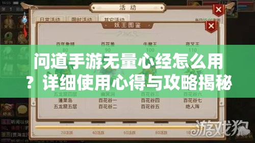 问道手游无量心经怎么用？详细使用心得与攻略揭秘