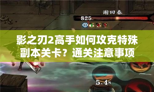 影之刃2高手如何攻克特殊副本关卡？通关注意事项与技巧揭秘