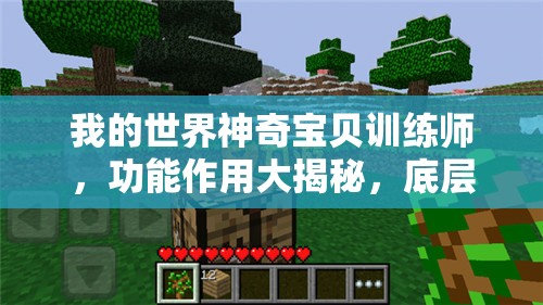 我的世界神奇宝贝训练师，功能作用大揭秘，底层逻辑如何影响实战操作？