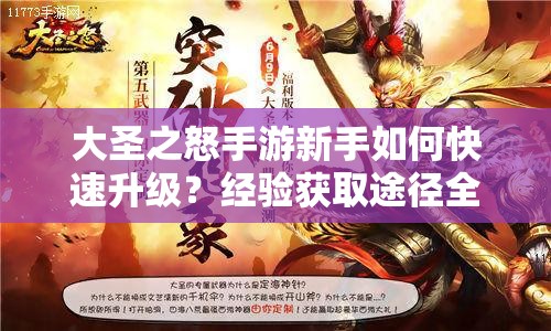 大圣之怒手游新手如何快速升级？经验获取途径全揭秘！
