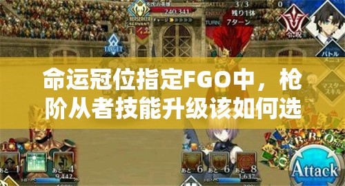 命运冠位指定FGO中，枪阶从者技能升级该如何选择才最优？