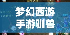 梦幻西游手游驯兽高手如何应对？深度攻略技巧大揭秘！