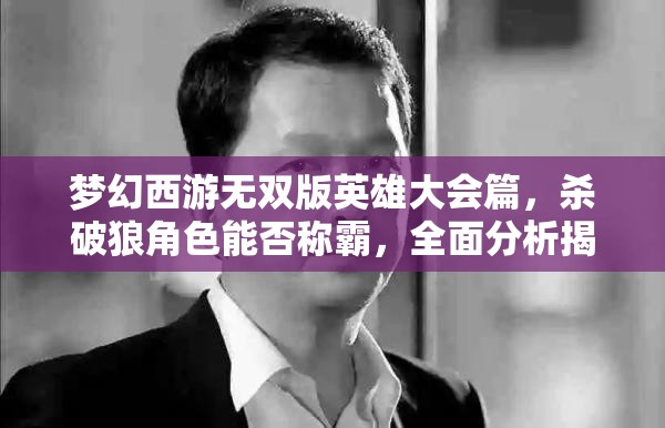 梦幻西游无双版英雄大会篇，杀破狼角色能否称霸，全面分析揭晓悬念？