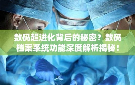 数码超进化背后的秘密？数码档案系统功能深度解析揭秘！