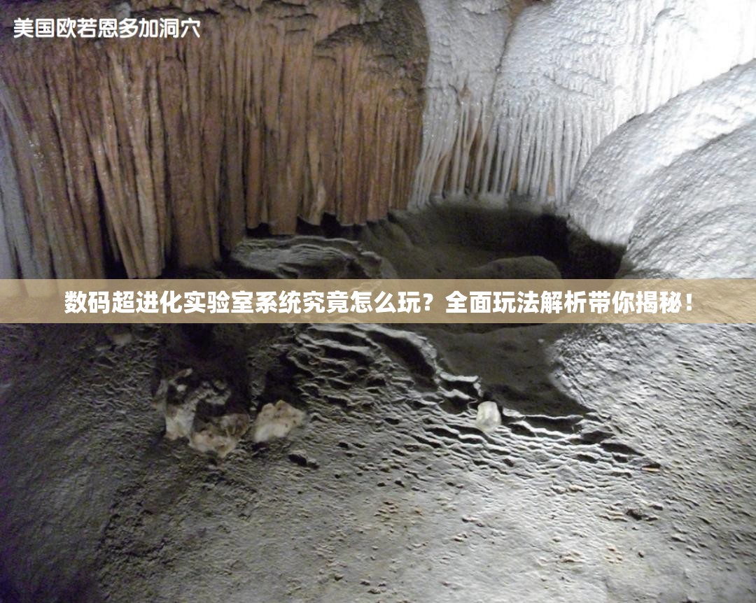 数码超进化实验室系统究竟怎么玩？全面玩法解析带你揭秘！