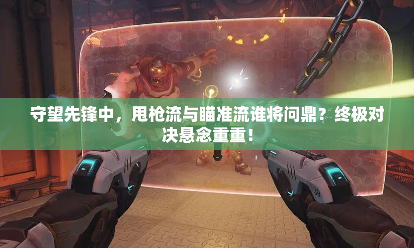 守望先锋中，甩枪流与瞄准流谁将问鼎？终极对决悬念重重！