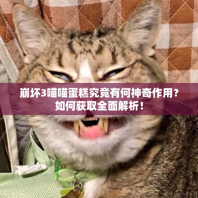 崩坏3喵喵蛋糕究竟有何神奇作用？如何获取全面解析！