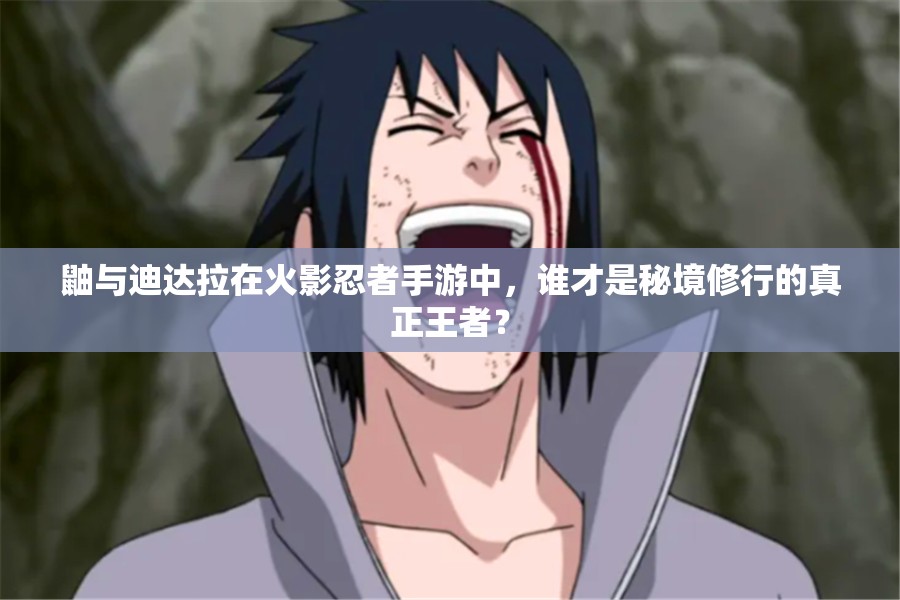 鼬与迪达拉在火影忍者手游中，谁才是秘境修行的真正王者？