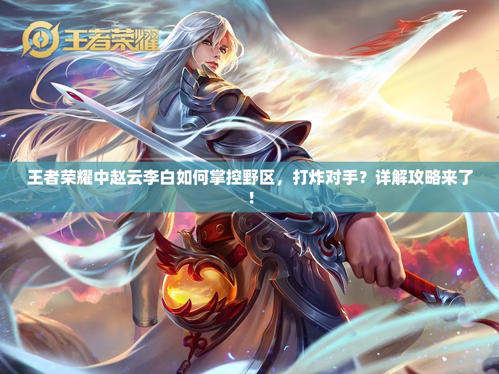 王者荣耀中赵云李白如何掌控野区，打炸对手？详解攻略来了！
