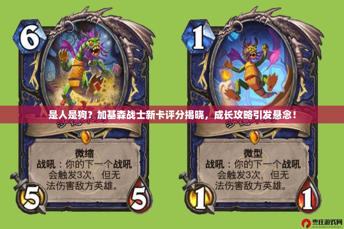 是人是狗？加基森战士新卡评分揭晓，成长攻略引发悬念！