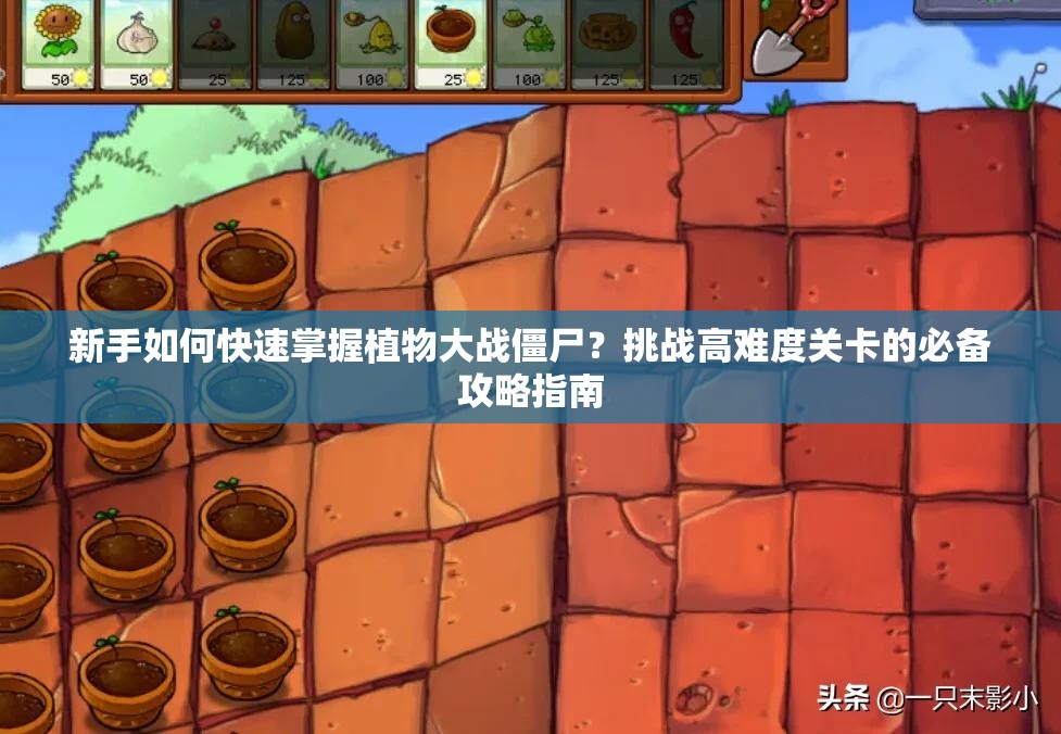 新手如何快速掌握植物大战僵尸？挑战高难度关卡的必备攻略指南