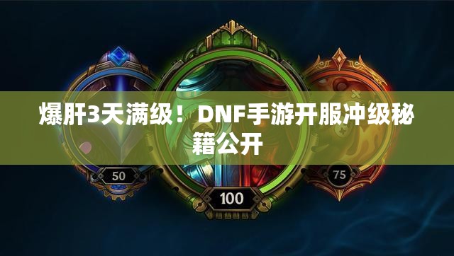 爆肝3天满级！DNF手游开服冲级秘籍公开