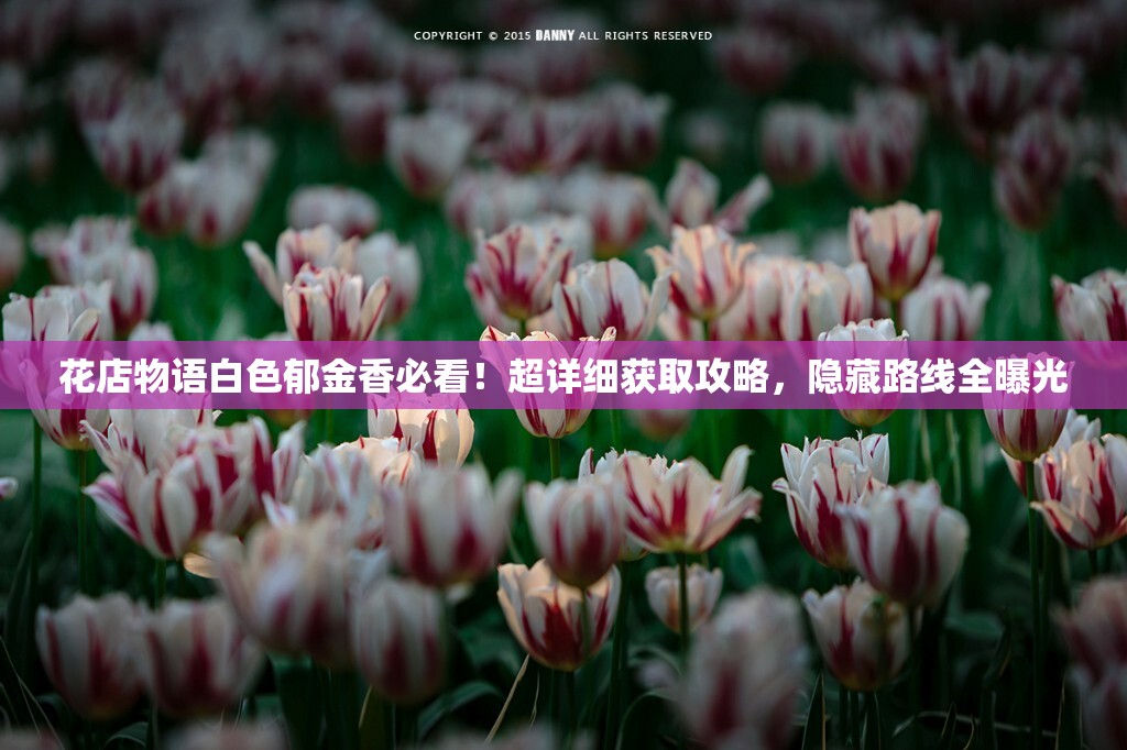 花店物语白色郁金香必看！超详细获取攻略，隐藏路线全曝光